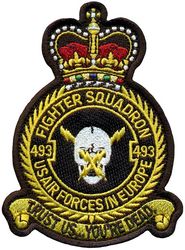 493d Fighter Squadron Heritage 
