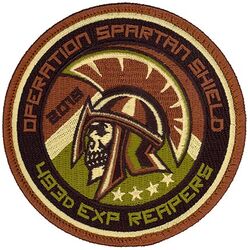493d Expeditionary Fighter Squadron Operation SPARTAN SHIELD 2019
