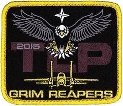 493d Fighter Squadron Tactical Leadership Program 2015 Commander
