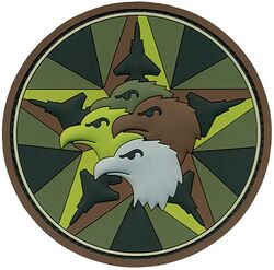 550th Fighter Squadron Quarterly Award
Keywords: PVC