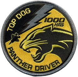 61st Fighter Squadron F-35 Pilot 1000 Hours
