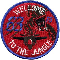 63d Fighter Squadron F-35 Morale
