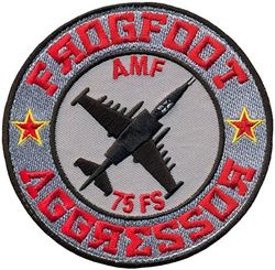 75th Fighter Squadron Aggressors
