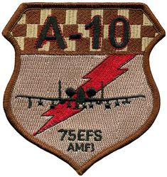 75th Expeditionary Fighter Squadron A-10
