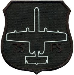 75th Fighter Squadron A-10

