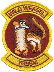 95th Fighter Squadron Wild Weasel
