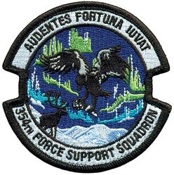 354th Force Support Squadron
