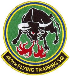 469th Flying Training Squadron
