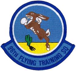 96th Flying Training Squadron
