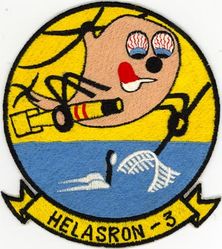 Helicopter Anti-Submarine Squadron 3 (HS-3)
Established as Helicopter Anti-Submarine Squadron THREE (HS-3) on 18 Jun 1952. Redesignated Helicopter Sea Combat Squadron NINE (HSC-9) on 1 Jul 2009-.

Piaseki UH-25B Retriever, 1952-1954
Sikorsky H-19 Chickasaw, 1954-1957
Sikorsky H-34 Choctaw, 1957-1962
Sikorsky SH-3 Sea King, 1962-1991
Sikorsky SH-60F, HH-60H Seahawk, 1991-.

