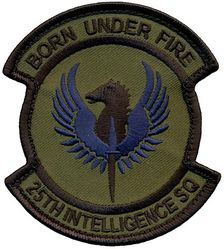 25th Intelligence Squadron
Keywords: Subdued