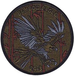 38th Intelligence Squadron Exercise BAMBOO EAGLE 2024-3
