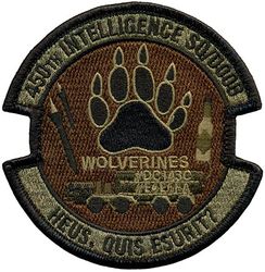 450th Intelligence Squadron Morale
Keywords: OCP
