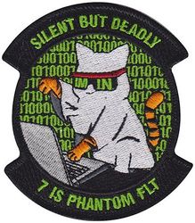 7th Intelligence Squadron  Phantom Flight
