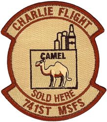 741st Missile Security Forces Squadron Charlie Flight
Keywords: Desert