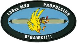 133d Maintenance Squadron Propulsion Flight Morale
Keywords: PVC