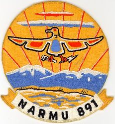 Naval Air Intelligence Reserve Unit 891 (NAIRU-891)
