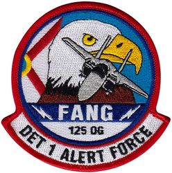 125th Operations Group Detachment 1 Alert Force
