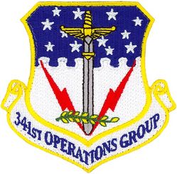 341st Operations Group
