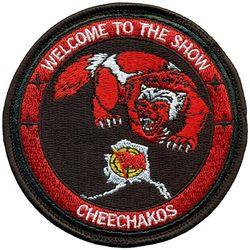 354th Operations Group Detachment 1
