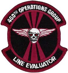 460th Operations Group Line Evaluator
