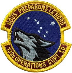 133d Operations Support Squadron
