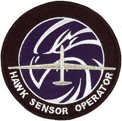 69th Operations Group RQ-4 Sensor Operator
