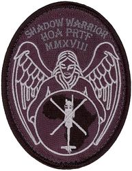 303d Expeditionary Rescue Squadron Shadow Warrior
