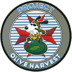 1st Expeditionary Reconnaissance Squadron OLIVE HARVEST
Keywords: PVC