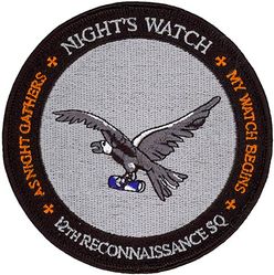12th Reconnaissance Squadron Morale
