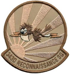 343d Reconnaissance Squadron Morale
Keywords: Desert