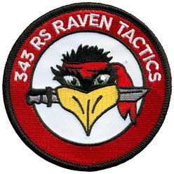 343d Reconnaissance Squadron Tactics
