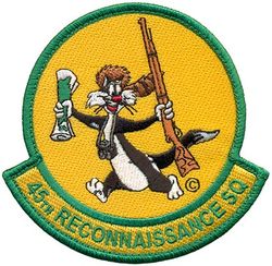 45th Reconnaissance Squadron
