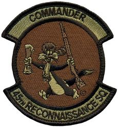 45th Reconnaissance Squadron Commander
Keywords: OCP