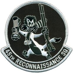 45th Reconnaissance Squadron Morale
