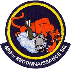489th Reconnaissance Squadron Lieutenant's Protection Association
Note: LPA written in the bomb.
