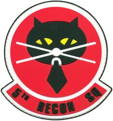 5th Reconnaissance Squadron 
Keywords: PVC