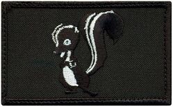 5th Reconnaissance Squadron Morale
