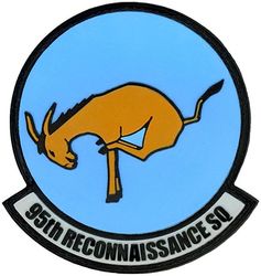 95th Reconnaissance Squadron
Keywords: PVC