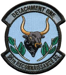 95th Reconnaissance Squadron Detachment 1
