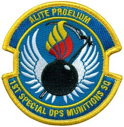 1st Special Operations Munitions Squadron
