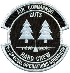 1st Special Operations Squadron Crew 33

