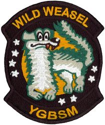 422d Test and Evaluation Squadron Wild Weasel
