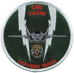 460th Test & Evaluation Squadron F-35 Pilot
