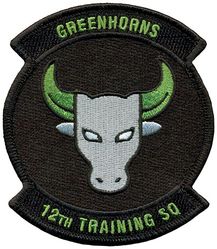 12th Training Squadron
