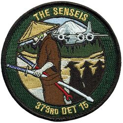 373d Training Squadron Detachment 15
