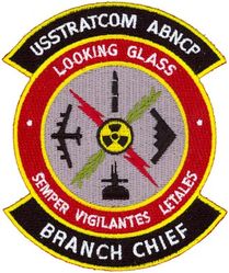 U.S. Strategic Command ABNCP - Branch Chief

