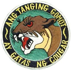 Fighter Squadron 143 (VF-143) (1st)
Established as Fighter Squadron EIGHT HUNDRED TWENTY ONE (VF-821) in Oct 1949. Called to active duty on 20 Jul 1950. Redesignated Fighter Squadron ONE HUNDRED FORTY THREE (VF-143) (1st) on 4 Feb 1953. Disestablished on 1 Apr 1958.

Insignia approval date unknown. US made, schiffli embroidery on twill.

Deployments.
1 Dec 1953-12 Jul 1954, CVA-9 USS Essex, ATG-2	, Grumman F9F-6 Cougar
1 Apr 1955-23 Nov 1955, CVA-47 Philippine Sea, ATG-2, Grumman F9F-6 Cougar
6 Apr 1957-18 Sep 1957, CVA-19 USS Hancock, ATG-2, North American FJ-3 Fury

