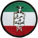 Filename=IS-97-1078-A~0.jpg
Filesize=49KiB
Dimensions=248x249
Date added=Sep 19, 2024 IS-97-1078-A~0.jpg