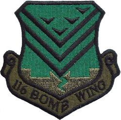 116th Bomb Wing
Keywords: subdued